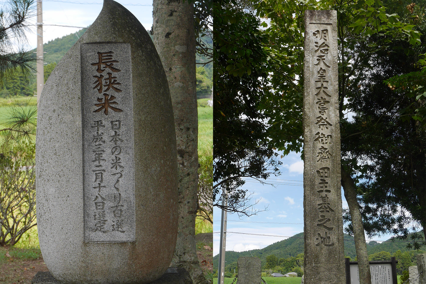 【令和6年産新米】 天皇献上米 千葉県鴨川産高級ブランド米 【玄米】 長狭米こしひかり 30kg(15kg×2)|(税込)