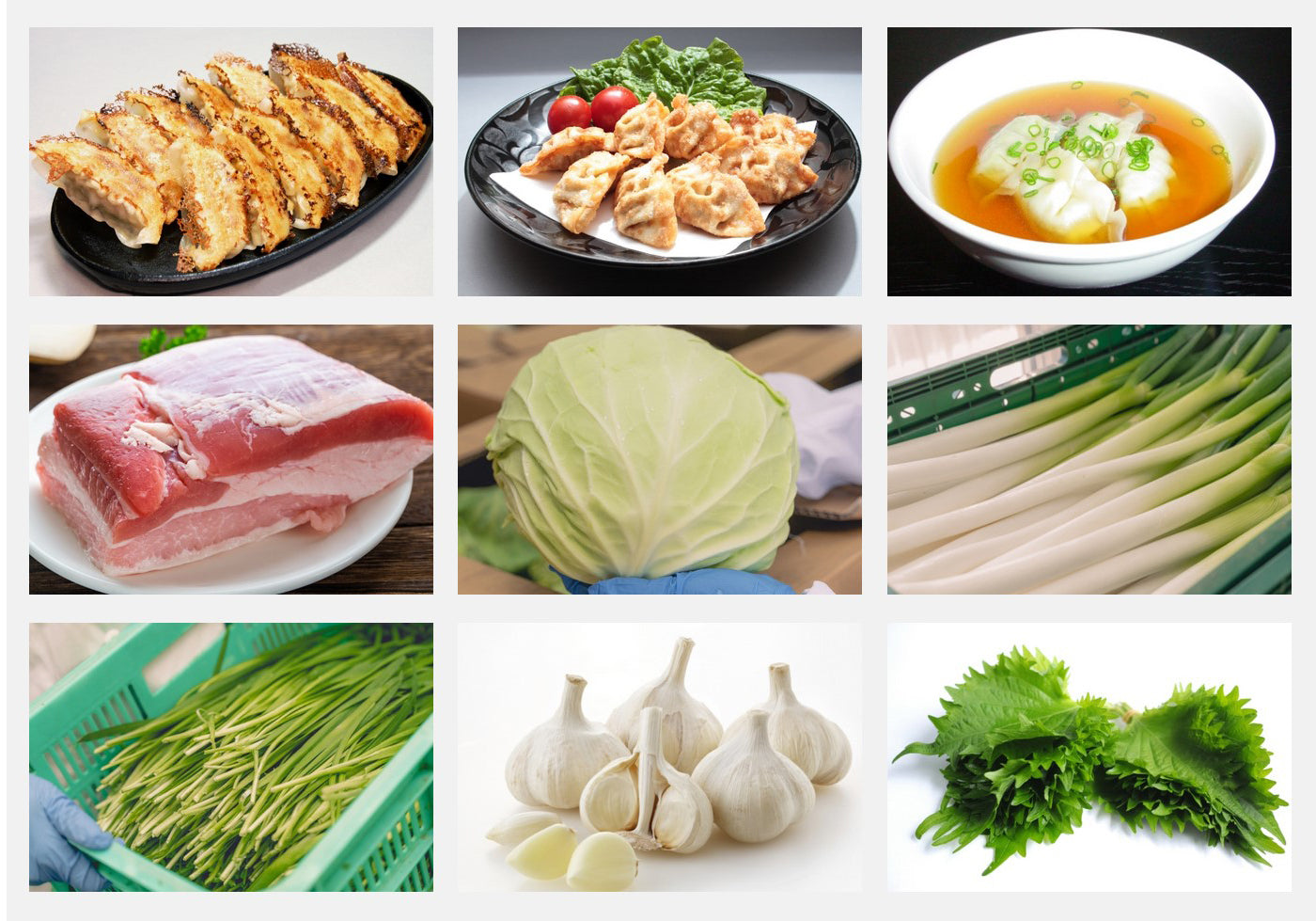 【創業50年守り続けている伝統の味】金星食品 特撰生餃子(20個・40個・80個)|(税込・送料無料)※一部地域追加送料あり
